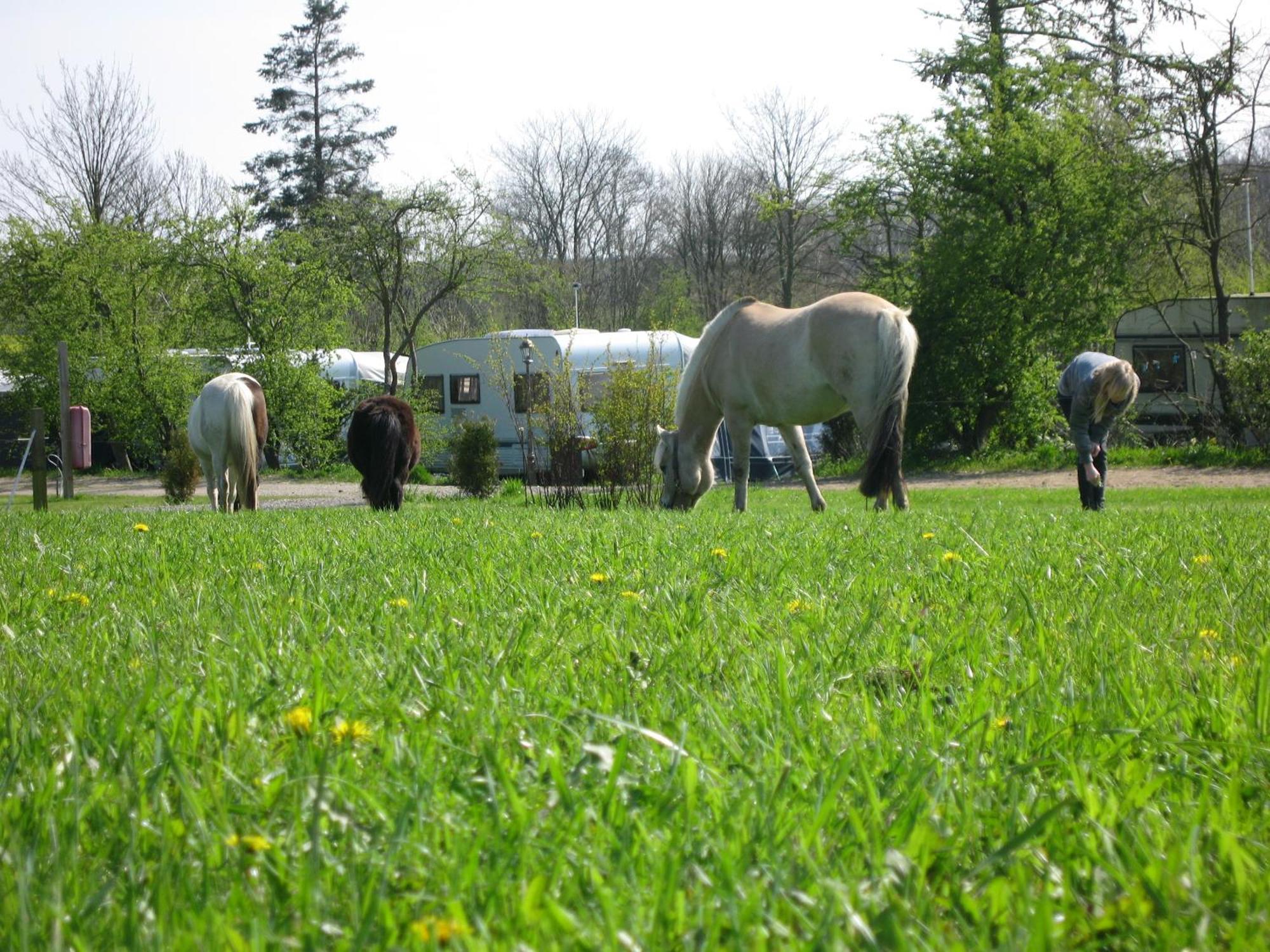 Boeslunde Camping Exterior foto